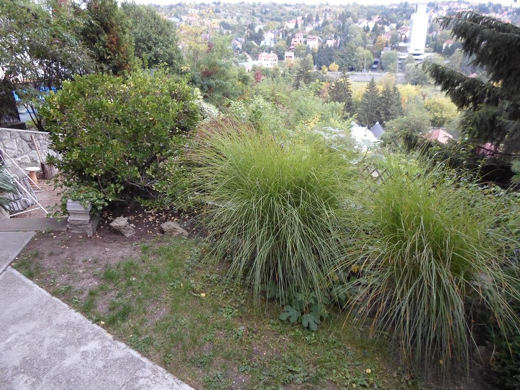 Panorama Szallas Miskolc Exteriör bild